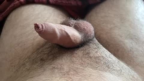 LilRoach online show from 11.16.25