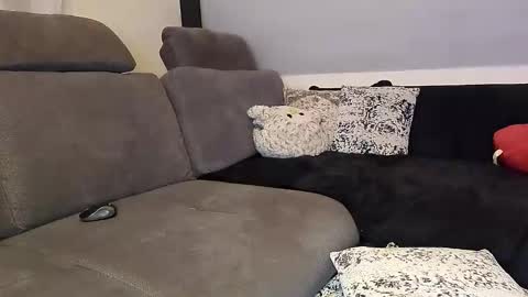 Denise and Brad online show from 11.12.25