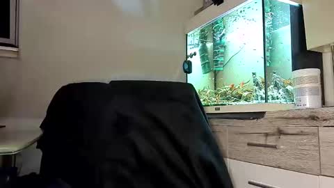 Denise and Brad online show from 04.18.26