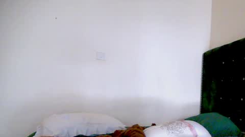 shiba online show from 04.19.26