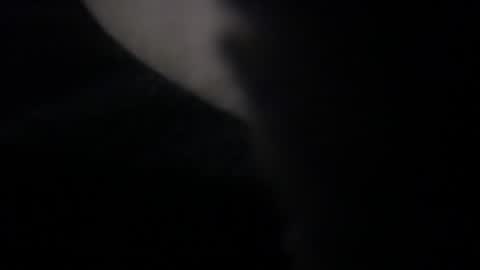 dfwgent3035 online show from 07.28.26