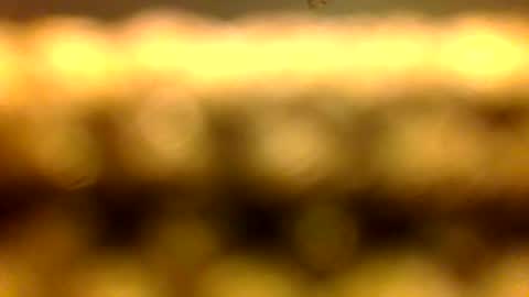 Marcus D-von Steel as the raunchy ass sniffer thrill me with your online show from 04.11.26