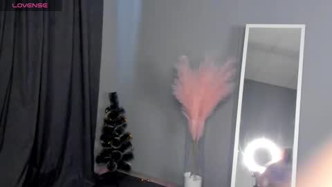 Snapshot of dianne_davis chatting on 01.30.25 Dianne online show from 01.30.25