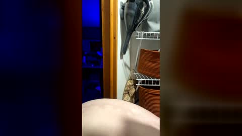 DickTaterish online show from 05.05.26