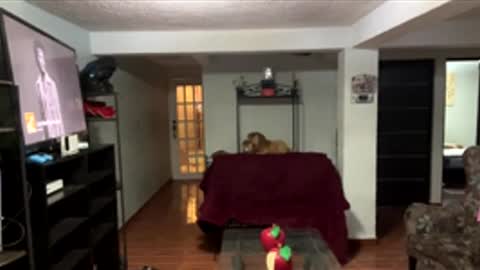 diego9534 online show from 03.21.26