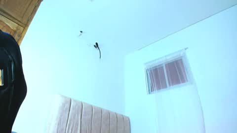 Diego online show from 10.12.25