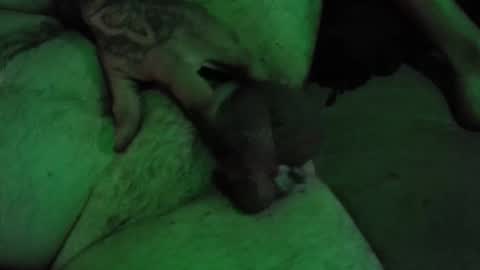 dikkdixon online show from 02.28.26