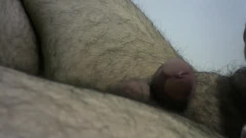 Snapshot of dilaradagci chatting on 12.28.24 Bob online show from 12.28.24