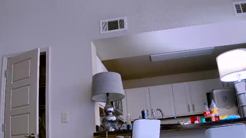 Dilldough405 online show from 02.11.25