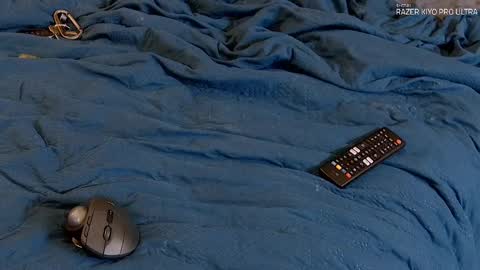 Dilldough405 online show from 09.09.25