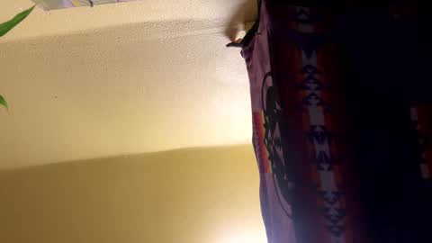 Snapshot of dimepiecebottom chatting on 12.08.24 dimepiecebottom online show from 12.08.24