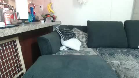 Sofie online show from 12.23.24