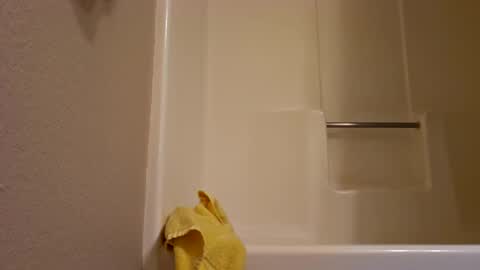 Snapshot of dipstik11 chatting on 10.04.25 DIPSTIK online show from 10.04.25