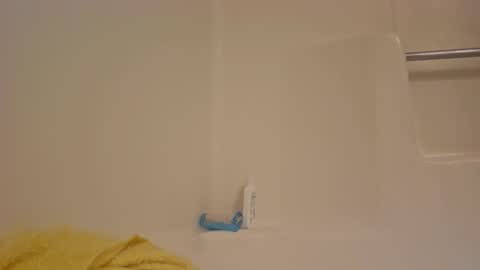 Snapshot of dipstik11 chatting on 10.13.25 DIPSTIK online show from 10.13.25