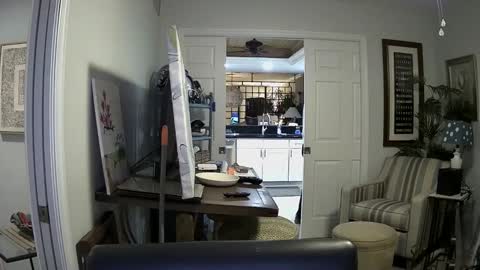 Snapshot of dirkpitt223 chatting on 01.04.25 DirtkPitt Fun guy working online show from 01.04.25