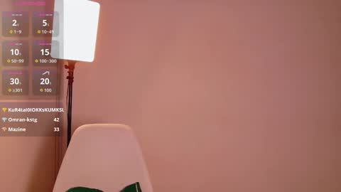 Snapshot of dirtylittleslutt_ chatting on 11.29.25 Nemesis online show from 11.29.25