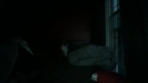 Snapshot of dixhexus chatting on 01.04.25 Chris Williams online show from 01.04.25