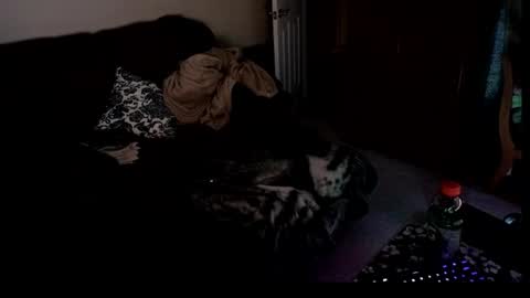 Hansel and Gretle online show from 04.04.26