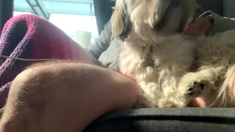 DKdad online show from 12.15.25