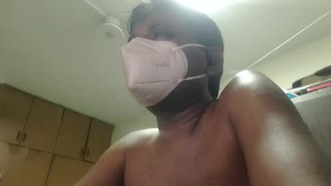 Dark brown with pink head online show from 05.04.26