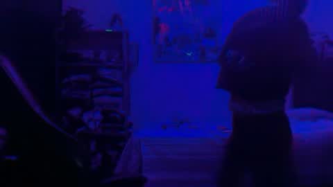 Snapshot of dogboi666 chatting on 06.25.26 Dogboi online show from 06.25.26
