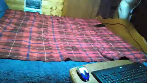 dolomois online show from 02.12.25