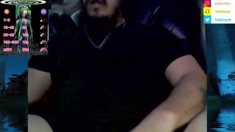 Snapshot of domanarchist chatting on 02.08.25 Sullyboyx online show from 02.08.25
