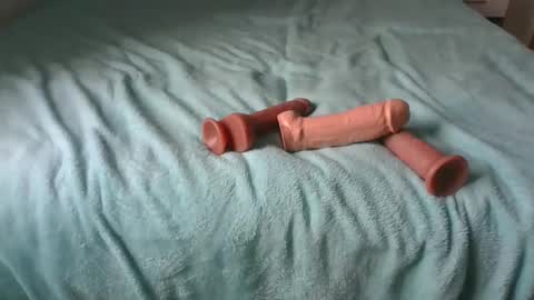 Alzest online show from 11.30.25