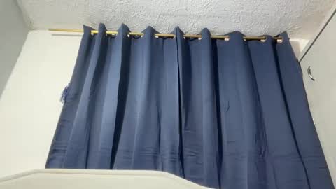 Snapshot of dominic_brand chatting on 11.04.25 Brandon online show from 11.04.25