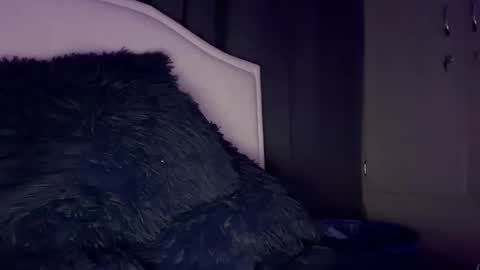 Snapshot of dominic_brand chatting on 12.14.25 Brandon online show from 12.14.25