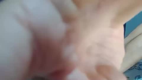 dominic_fox04 online show from 12.23.24