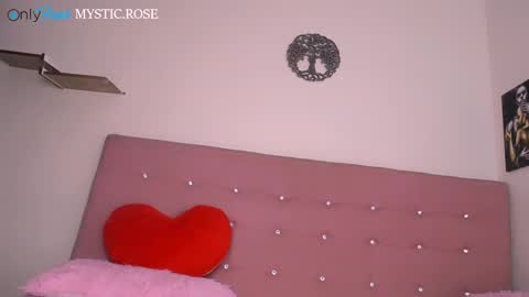 Snapshot of dominika_angel chatting on 12.28.24   online show from 12.28.24