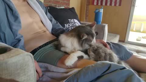 dommepleasemistress online show from 03.22.26