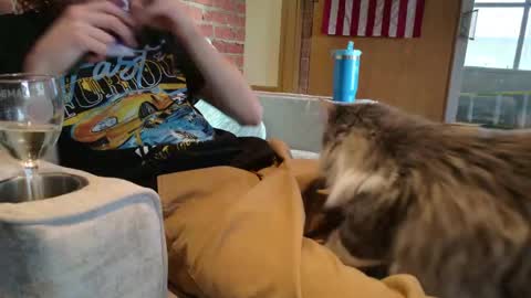 dommepleasemistress online show from 03.30.26