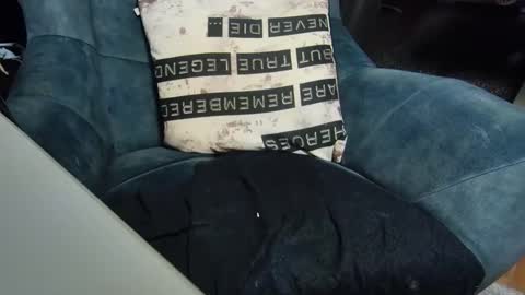 dondiego9999 online show from 01.06.25