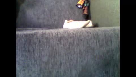 Alfredo online show from 11.10.25