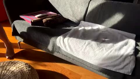 Alfredo online show from 12.02.25