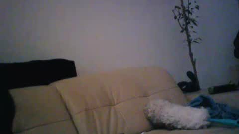 donosus online show from 01.18.26