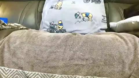 LuvmycockTS69 online show from 11.14.25