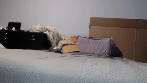 Snapshot of dorato_xxx chatting on 03.17.26 Dorato online show from 03.17.26