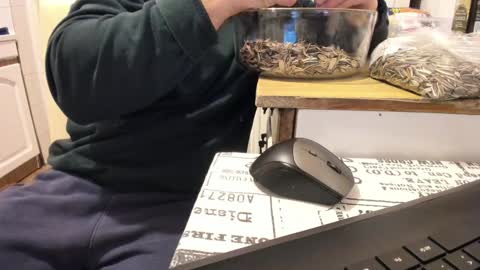 Snapshot of doriancretu95 chatting on 01.01.25 menu below online show from 01.01.25