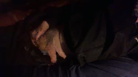 Hello  welcome to Slutsville  I am the Naked Chef  really  but you may call me Peter online show from 01.08.26