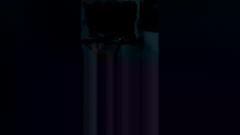 dpickle699 online show from 04.19.26