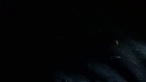 Snapshot of dreadedted chatting on 11.24.25 Dreadedted online show from 11.24.25