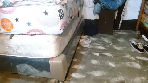 dreamreal online show from 03.29.26