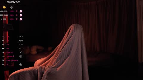 Snapshot of dreamaise chatting on 12.13.24  Mary   pvt open    use pink and blue app lovense online show from 12.13.24