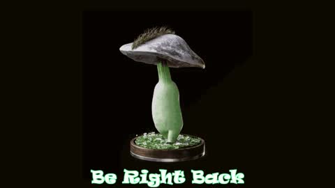 Tara  Sonny online show from 01.28.25