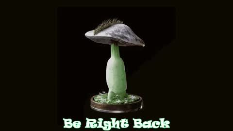 Tara  Sonny online show from 02.20.25