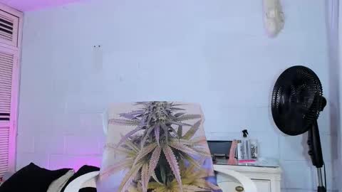 drippyorlove online show from 04.02.26