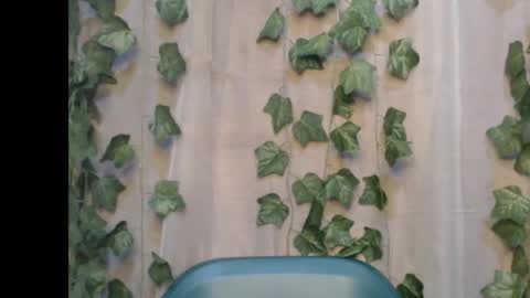 linda online show from 09.14.25